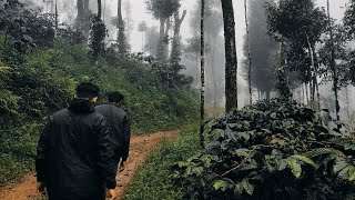 Adventure trekking in kalasa Kuduremukh #karnatakatourism