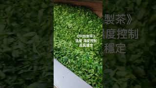 最貼心的禮物《阿里山頂湖好茶葉》讓關心的人無負擔～送禮送到心坎裡🥰 2024年8月25日