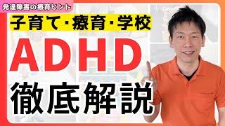 【子どもの発達障害】ADHDや自閉症と診断を受けた時に知っておいてほしいことを徹底解説