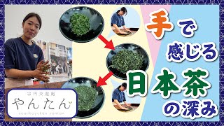 宗円交遊庵 やんたん体験　～茶揉み体験編～