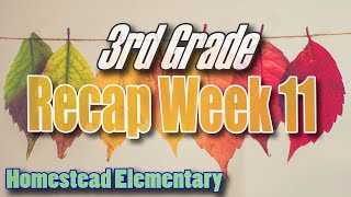 3rd Grade Week 11 Recap: Homestead Elementary