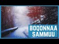 Sagalee muuziqaa dhiphina sammuu hir'suun Boqonnaa sammuu namaaf kennu | relaxing music