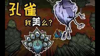 饥荒联机版16期：当一只孔雀会功夫？会发生什么？