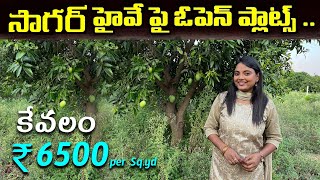 సాగర్  హైవే పై ఓపెన్ ప్లాట్స్ || Plots for sale in Sagar highway || Mango Trees Farmland