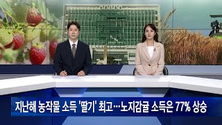 지난해 농작물 소득 ‘딸기’ 최고…노지감귤 소득은 77% 상승