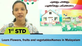 പൂക്കളും പഴങ്ങളും പച്ചക്കറികളും പരിചയപ്പെടാം | Flowers, fruits and vegetables |