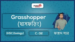 01. Grasshopper | ঘাসফড়িং | HSC Zoology Chapter 2 | Fahad Sir