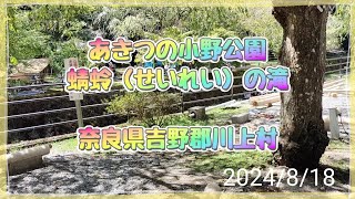 【あきつの小野公園】蜻蛉（せいれい）の滝 /奈良県吉野郡川上村は涼しかったよ🐶💕