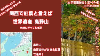 【世界遺産高野山で紅葉撮影】関西の紅葉の名所の一つ高野山へ行く　しかし2024年の紅葉は遅いと言われていて実際まだどこに行っても紅葉はまだだ　しかしあの高野山だ　ちょっとくらいは染まり始めているでしょ