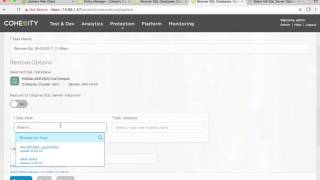 SQL Recovery with Cohesity