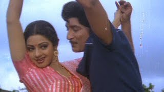 Kode Trachu Movie Songs | Goruvecha Chandamama Song | Sobhan Babu | Sridevi |  | Chakravarthy
