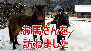 一年で一番寒い時期です！田立の花馬祭りのお馬さんを訪ねました。