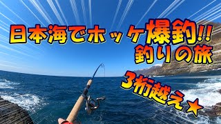 【海釣】日本海でホッケ爆釣!!サビキ釣りの旅