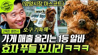 [#고독한훈련사] 가게 매출은 내가 책임진다! 이웃 강아지랑 연애하다가 재활 성공한 약초방 알바생 꼬시리🐶 | #지금꼭볼동영상