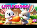 Little Bunny Song | #TinyGeniusTV Nursery Rhymes & Babies Songs