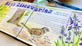 5 Reasons to Try THIS Layout in Your Nature Journal!