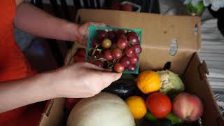 CSA Community Supported Agriculture Box with Fresh Fruits and Veggies to Support Local Farmers!