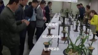 한국춘란경매  2015년 4월 15일