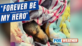 'Forever Be My Hero': Man Braves Icy River To Rescue Drowning Dog