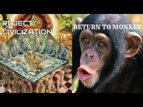 The Return Of Monkey Return To Monke Know Your Meme