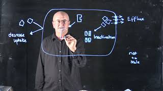 Antibiotics 2 mechanisms of resistance