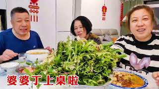 【160斤大龄女】婆婆丁好挖不好摘，仨人夜战半宿，老妈唠一唠过去的事，回忆满满