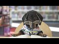 Ep #5 The Dogs Go to The Library! - Cute & Funny Dachshund Video!