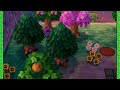 Animal Crossing New Leaf - Game Day (61)