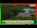 Getting to know the Mangrove Forest @ayoebbapuzi