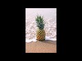 dj awek pineapple on the beach techno deep house