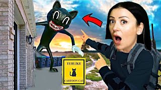 KARTON KEDİ.CANAVAR OLDU. CARTOON CAT. ÖZLEM GÖK