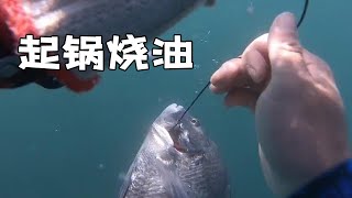 老表潜水捕鱼，猜猜捕到了什么大货，回家起锅烧油【探海老表】