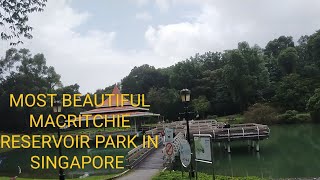 MACRITCHIE RESERVOIR PARK | PEACEFUL AND BEAUTIFUL