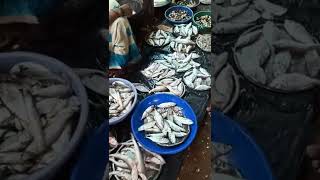 🎏#fish market# nandangadda karwar