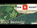 How I Use the Hunt App - Finding Buck Bedding!