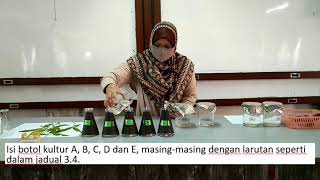 Eksperimen 3.1 Kesan Nisbah Nitrogen: Fosforus: Kalium Terhadap Pertumbuhan Tanaman