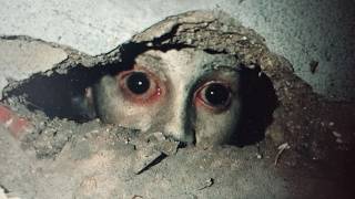 Top 10 Disturbing Things Found Inside Walls