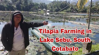 Diskarte ng mga Farmer kapag nag Fish Kill sa Lake Sebu, South Cotabato