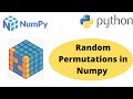 Random Permutation in Numpy | Numpy Random Permutation | Numpy Random | Numpy Tutorial