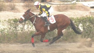 3rd Race The fair Magic Plate Distance 1000 Meters Winner Moni Prince ( Pakistan Horse Racing )