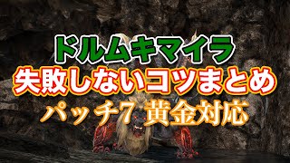 【FF14黄金】ドルムキマイラ失敗しないコツまとめ【サクッと復習予習! 討滅ルーレット パッチ7】