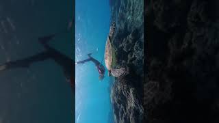 Freediving Taiwan