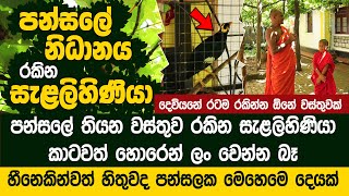 පන්සලේ තියන ලොකුම වස්තුවක් රකින සැළලිහිණියා | Mathurata Temple Organic Grapes Fruit