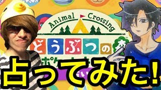 どうぶつの森 ポケットキャンプ | 意外な結果連発！？とある占い屋さんで僕と氷雷が占ってみた！