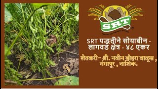 SRT पद्धतीने सोयाबीन - लागवड क्षेत्र - ४८ एकर