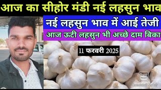 11 फरवरी 2025 सीहोर मंडी नई ऊटी देसी लहसुन भाव today MP Sehore Mandi garlic price।