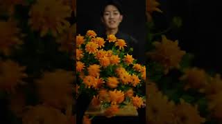 Flower ASMR #ดอกไม้ #พืช #สวน #ร้านดอกไม้