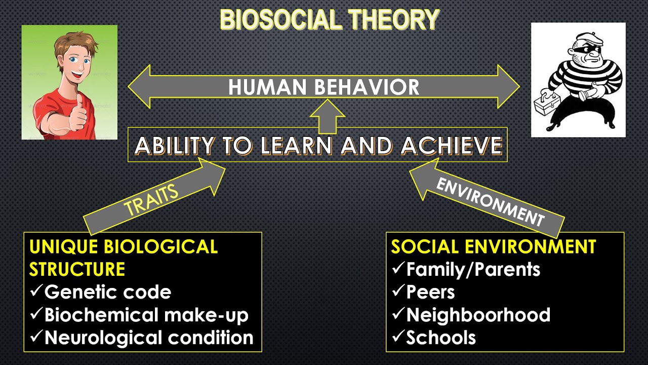 THEORIES OF CRIME CAUSATION Biosocial Theory - YouTube