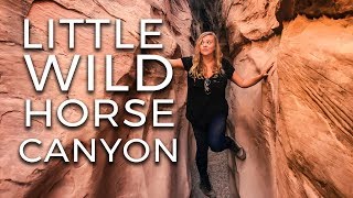 RANDO dans le LITTLE WILD HORSE CANYON, UTAH