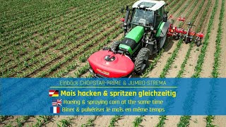 Corn hoeing \u0026 simultaneous band spraying | Einböck CHOPSTAR-PRIME \u0026 JUMBO-STREAM